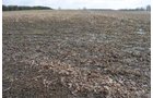 Property photo 21 - 98+/- Acres Offered in 6 Tracts or Combinations, Noble County, Indiana Farm